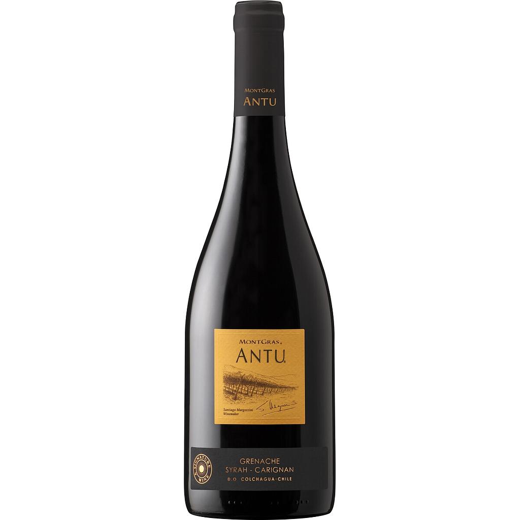 Montgras |  Antu | Syrah